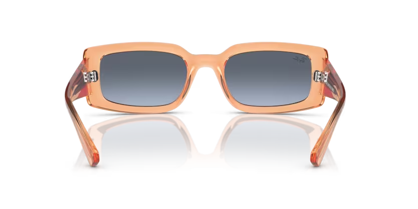 Rayban 4395 66868F 54 erkek