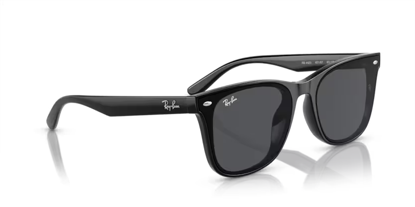 Rayban 4420 601/87 65 erkek