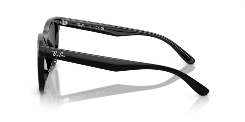 Rayban 4420 601/87 65 erkek