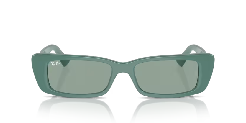 Rayban 4425 676282 54 kadın