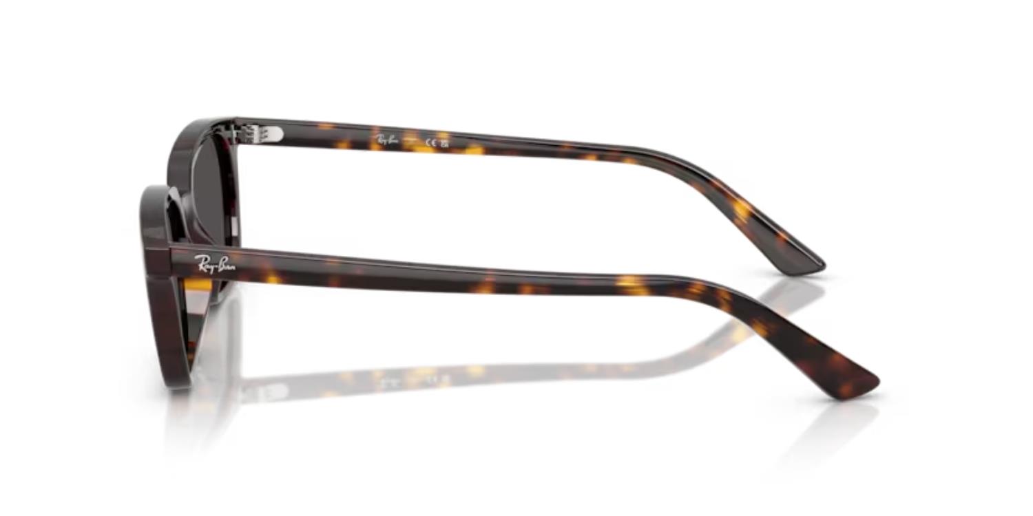Rayban 4456 135987 50 Kadın güneş gözlüğü