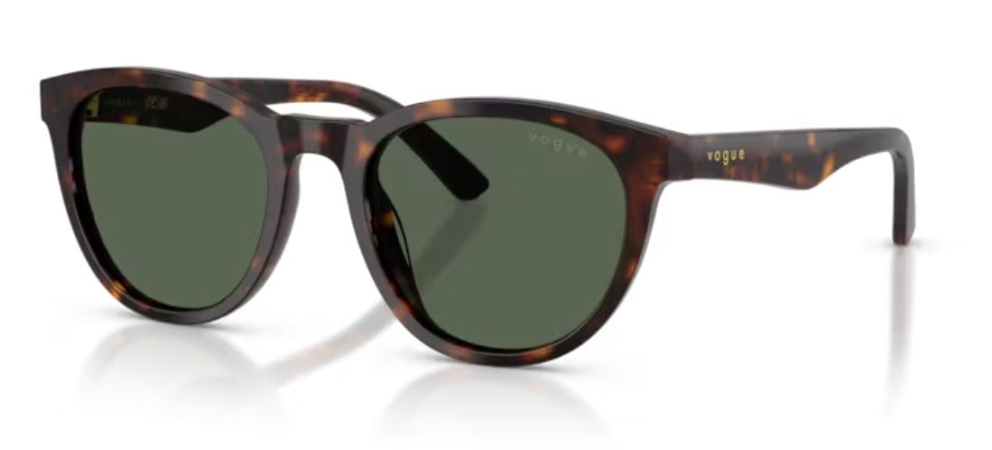 Vogue 5735 W65671 52 Erkek Güneş Gözlüğü