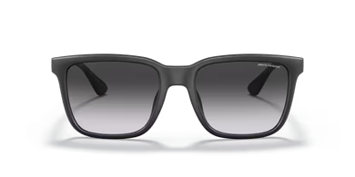Armani Exchange 4112SU 807871 55-19 erkek