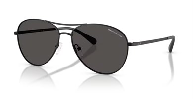 Armani Exchange AX 2061 600087 59 Erkek Güneş Gözlüğü