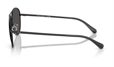 Armani Exchange AX 2061 600087 59 Erkek Güneş Gözlüğü