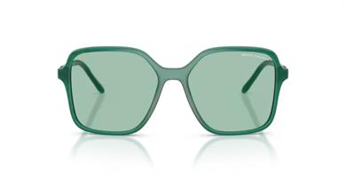 Armani Exchange AX 4163S 8398/2 53 Kadın Güneş Gözlüğü