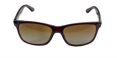 BERN 5006 C4 55 Unisex Güneş Gözlüğü