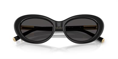 Dolce&Gabbana DG 4519 501/87 54 Kadın Güneş Gözlüğü