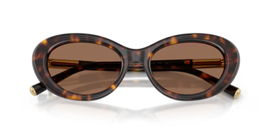 Dolce&Gabbana DG 4519 502/73 54 Kadın Güneş Gözlüğü