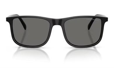 EMPORIO ARMANI 4280 501787 54 Erkek Güneş Gözlüğü