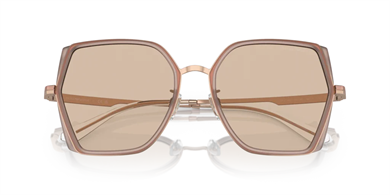 EMPORIO ARMANI EA2142D 301193 Kadın Güneş Gözlüğü
