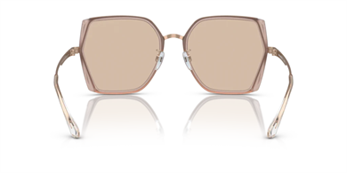 EMPORIO ARMANI EA2142D 301193 Kadın Güneş Gözlüğü