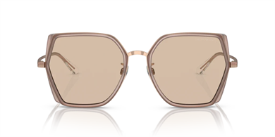 EMPORIO ARMANI EA2142D 301193 Kadın Güneş Gözlüğü