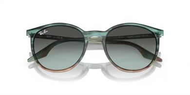 Ray-Ban 2204 1394GK 54 Unisex Güneş Gözlüğü