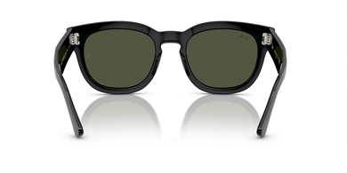 Rayban 0298S 901/31 53 kadın