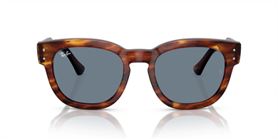 Rayban 0298S 954/62 53 