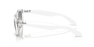 Rayban 0RB2132 677432 55 kadın