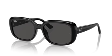 Rayban 0RB4421D 667787 56 kadın