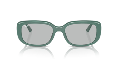 Rayban 0RB4421D 676287 56 kadın