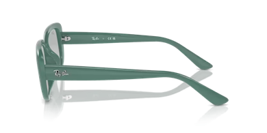 Rayban 0RB4421D 676287 56 kadın