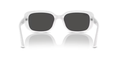 Rayban 0RB4421D 677287 56 kadın