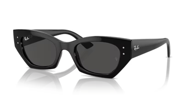Rayban 4430 667787 52 kadın