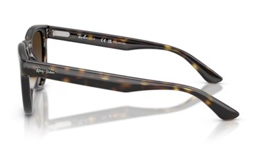 Rayban 2237 710/T5 51 kadın güneş gözlüğü