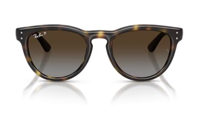 Rayban 2237 710/T5 51 kadın güneş gözlüğü