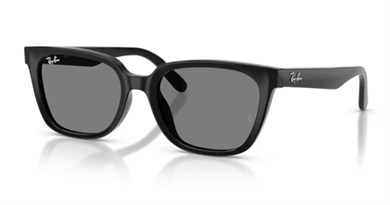 Rayban 2243D 901/87 55 kadın güneş gözlüğü