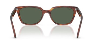 Rayban 2243D 954/71 55 kadın güneş gözlüğü