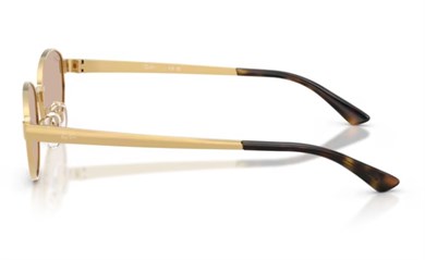 Rayban 3774D 001/3 55 Kadın Güneş Gözlüğü