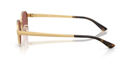 Rayban 3774D 001/69 55 Kadın Güneş Gözlüğü