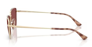Rayban 3783 921375 53 Kadın Güneş Gözlüğü