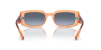 Rayban 4395 66868F 54 erkek