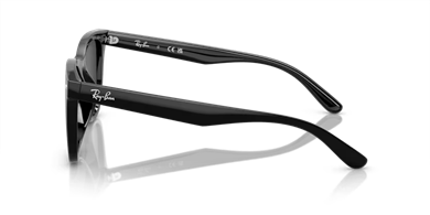 Rayban 4420 601/87 65 erkek