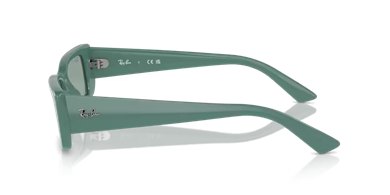 Rayban 4425 676282 54 kadın