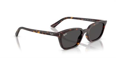 Rayban 4456 135987 50 Kadın güneş gözlüğü