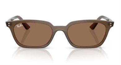 Rayban 4456 677973 50 Kadın Güneş Gözlüğü