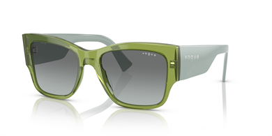 Vogue 0VO5462S 295311 54 