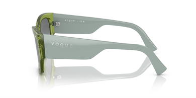 Vogue 0VO5462S 295311 54 