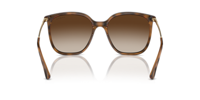 Vogue 0VO5564S 238613 54 kadın