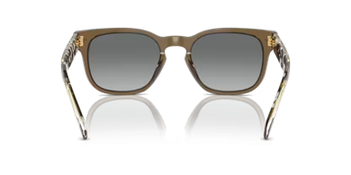 Vogue 0VO5571S 314411 53 erkek