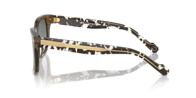Vogue 0VO5571S 314411 53 erkek
