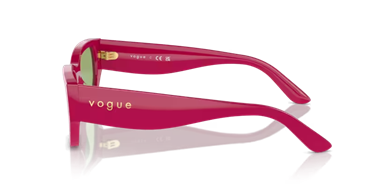Vogue 0VO5586S 3160/2 53 kadın
