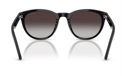 Vogue 5735 W44/8G 52 Erkek Güneş Gözlüğü