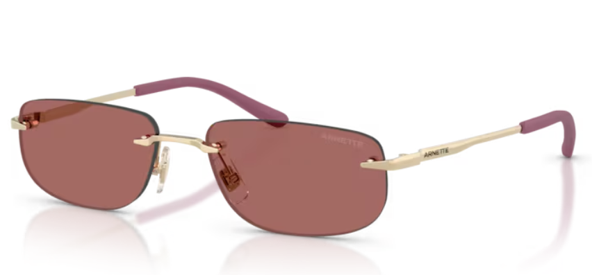 ARNETTE 0AN3096 748/69 55 G Erkek Güneş Gözlüğü
