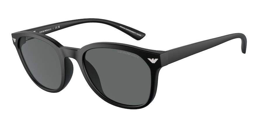 EA 4225U 500187 53 Emporio Armani Güneş Gözlüğü