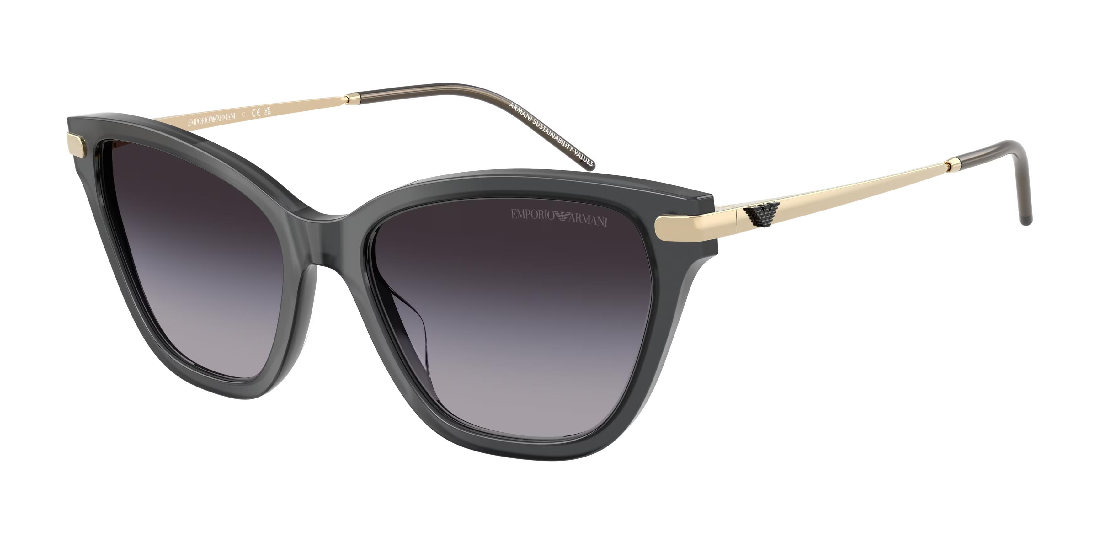 EMPORIO ARMANI 4251 62628G 54 Kadın Güneş Gözlüğü