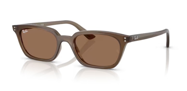 Rayban 4456 677973 53 Kadın Güneş Gözlüğü