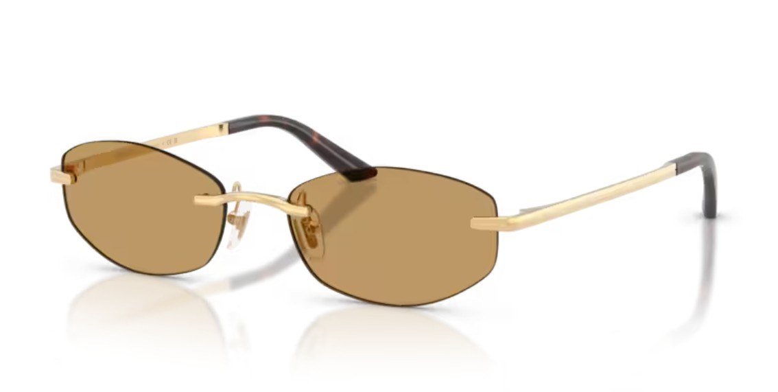 Versace 2308 152373 54 Kadın Güneş Gözlüğü